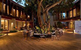 เรดดอร์